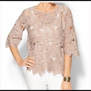 Anthropologie Aryn K pull over lace top🥰